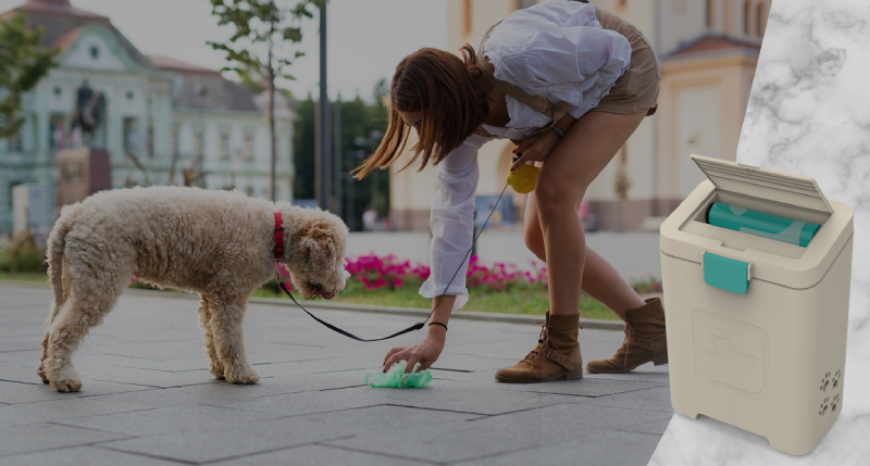 Dispose Dog Poop Easily With A Convenient Disposal System